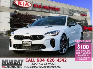 2020 Stinger Limited #ST03196 | SAVE $5,100