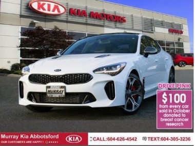 2020 Stinger Limited #ST01833| SAVE $5,100